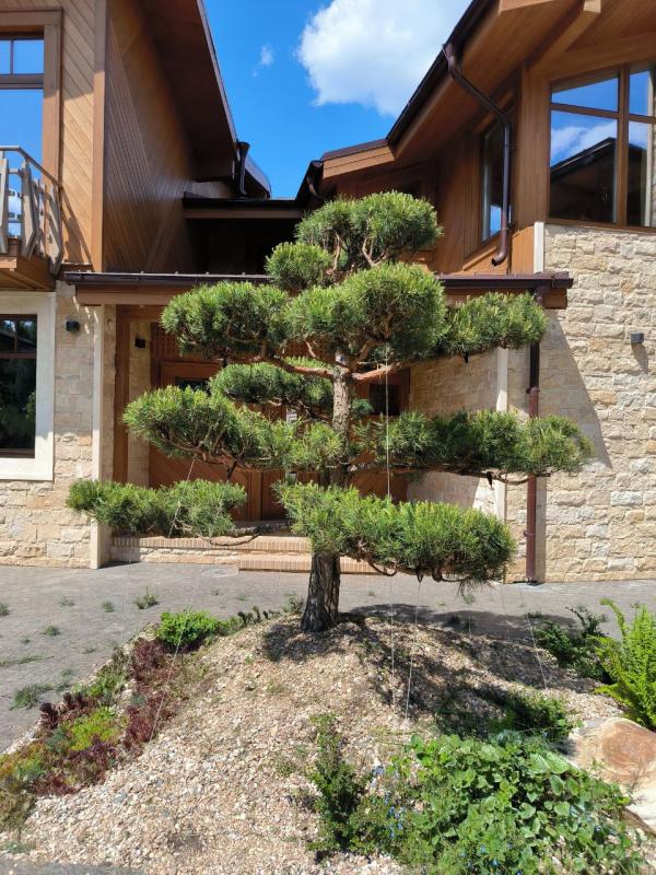 Топиары и ниваки. Садовые шедевры из привычных растений