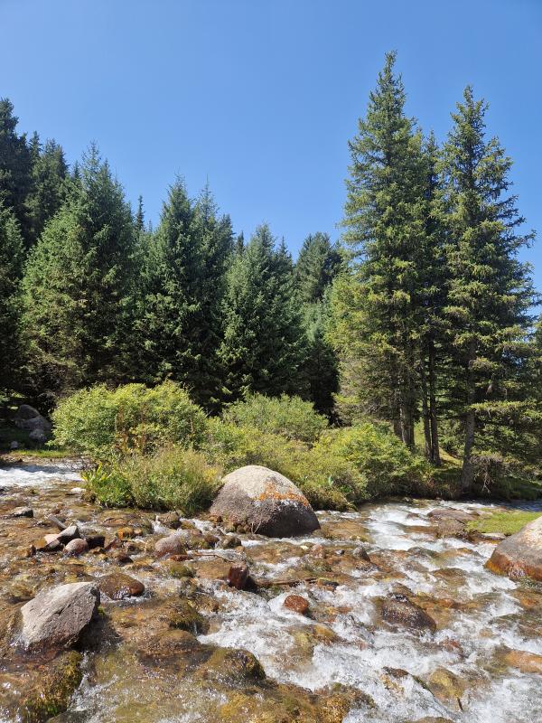 Новогодние итоги команды Жёлуди