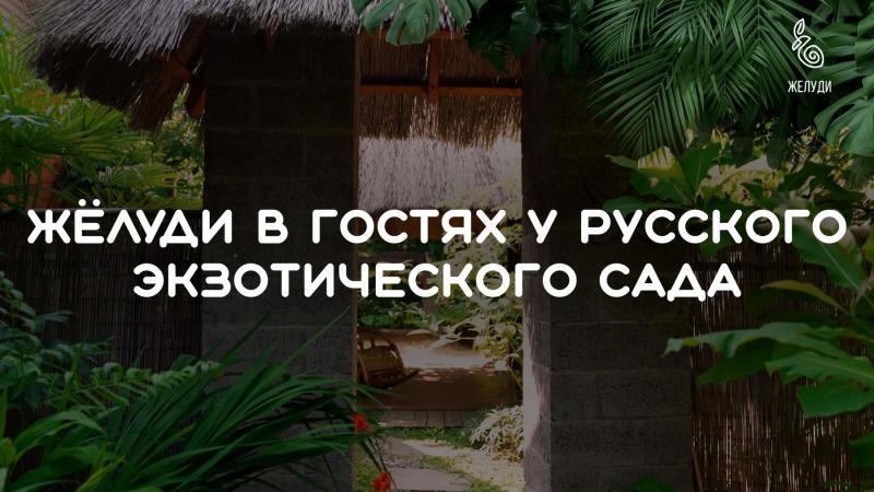 Жёлуди в гостях у Русского экзотического сада Жёлуди в гостях у Русского экзотического сада