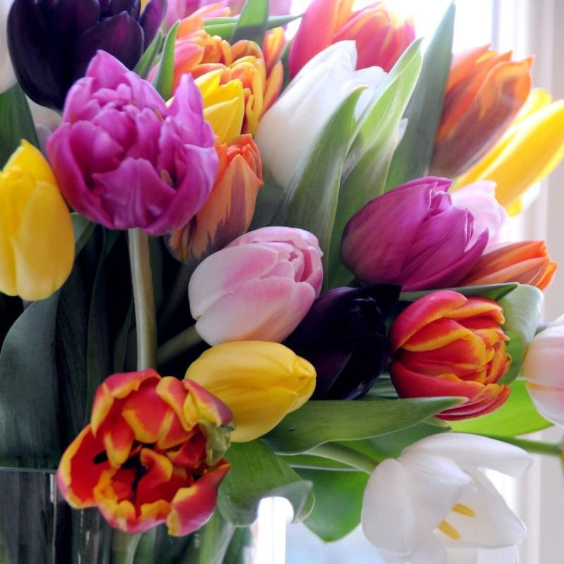 Поздравляем с 8 Марта!