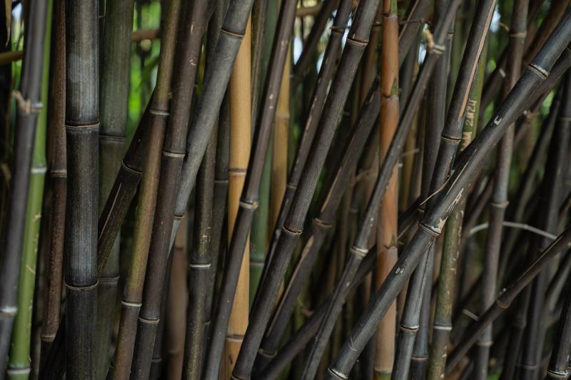 Главные новинки апреля 2024 г. в магазине Жёлуди