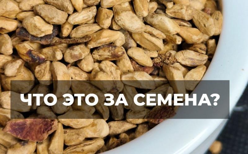 Полезный и очень красивый Полезный и очень красивый