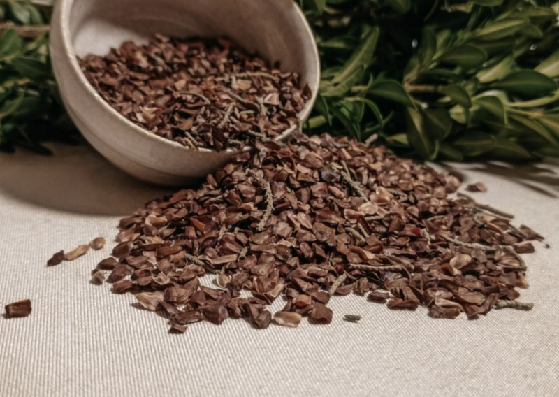 Как растет кипарис в природе