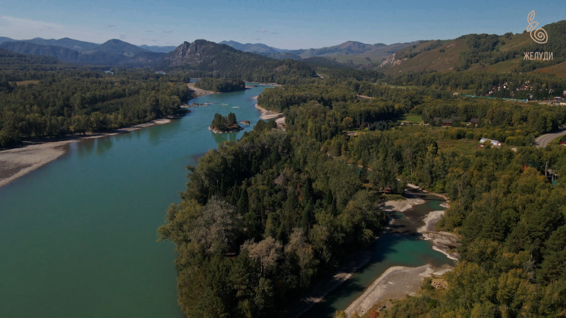 На Алтай с командой Жёлуди! Прилашаем в большое путешествие