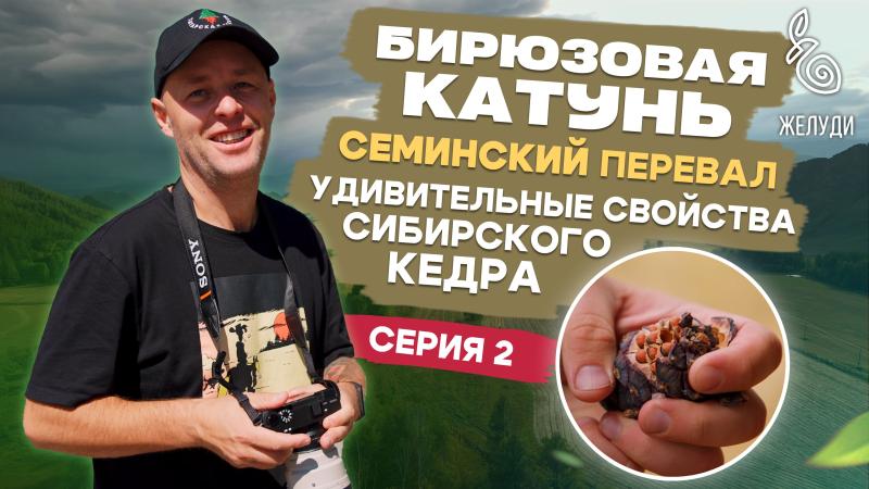 Путешествие на Алтай. Река Катунь, горные деревья-долгожители, заросли рододендронов и другие ботанические редкости. 2 серия фильма команды Жёлуди