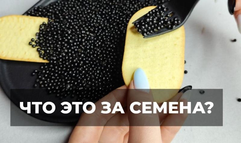 Семена или икра? Удивительное растение для дома и сада