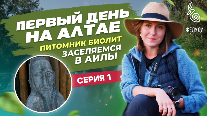 Путешествие на Алтай. Как растет женьшень, тайны лопуха и необычный алтайский чай. 1 серия нового фильма команды Жёлуди