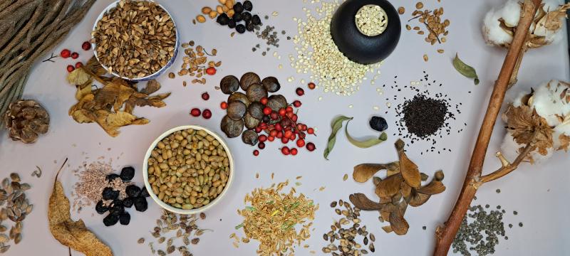 Выбираем подарки к празднику!