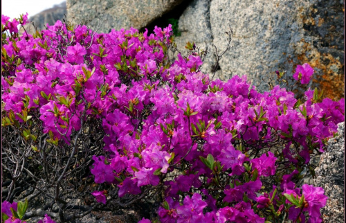 imgonline-com-ua-Resize-MLJ3AjbXq8vUD