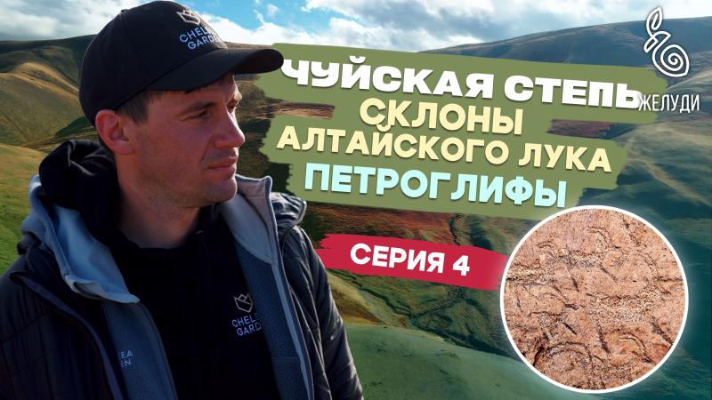 Путешествие на Алтай. Чуйская степь, тундра, курган алтайской принцессы и искусство древних скифов Путешествие на Алтай. Чуйская степь, тундра, курган алтайской принцессы и искусство древних скифов