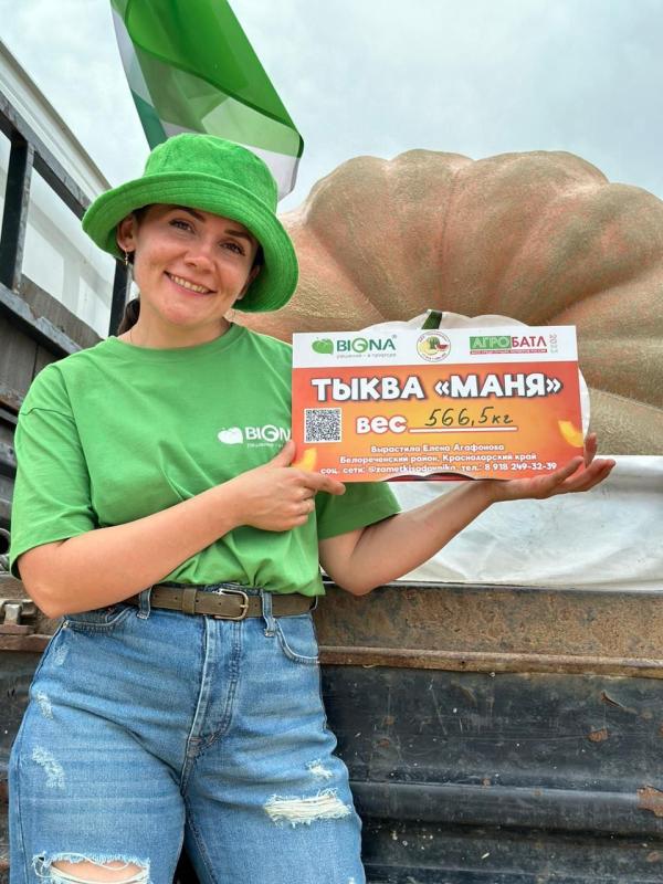 Где и как растут тыквы гиганты