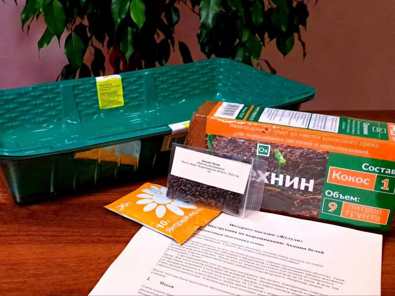 Пора сеять семена! У нас есть все необходимое для ваших растений