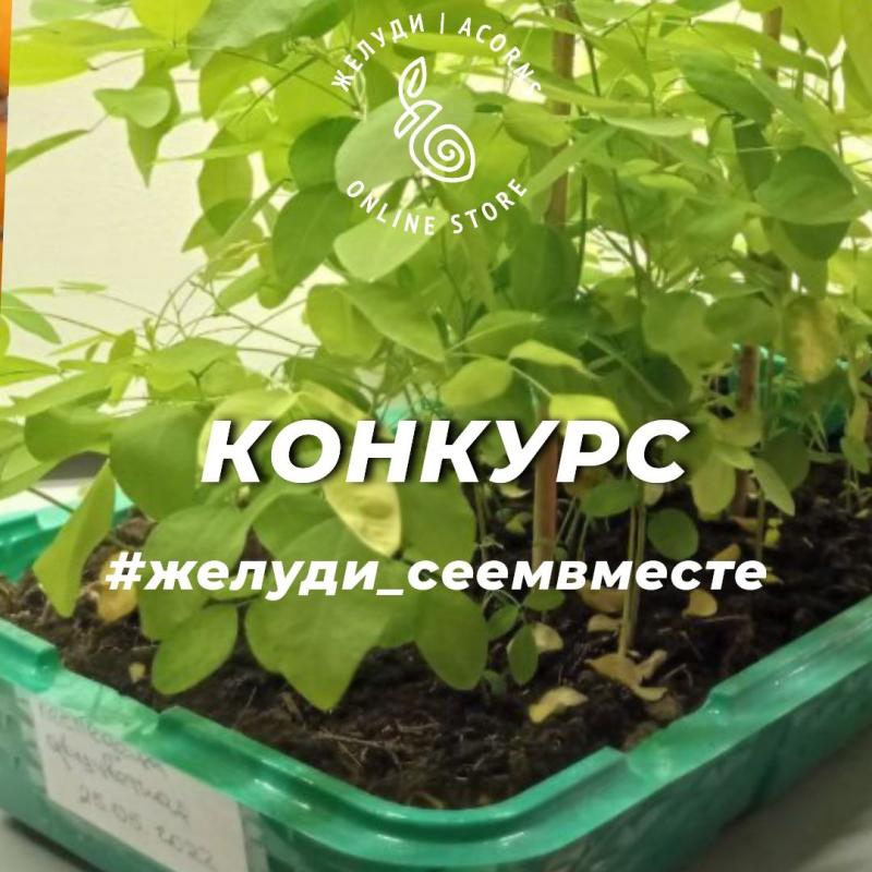 Конкурс "Сеем вместе!"