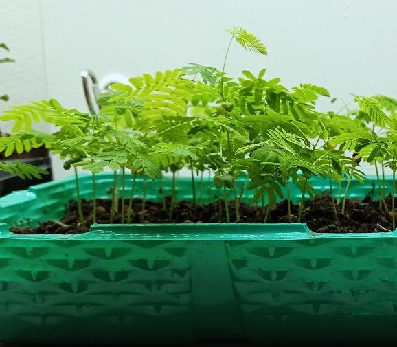 Конкурс "Сеем вместе 3"