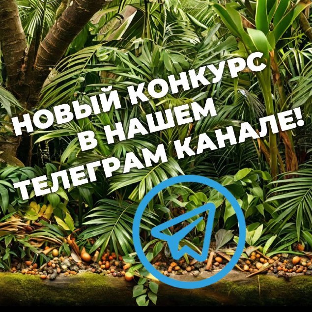 Конкурс с Зеленым Самураем! Конкурс с Зеленым Самураем!