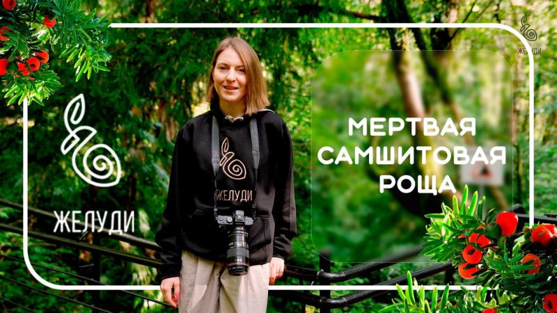 Новый фильм команды Желуди. Мертвая самшитовая роща