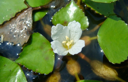 imgonline-com-ua-Resize-UtPnoYwPhcsZe