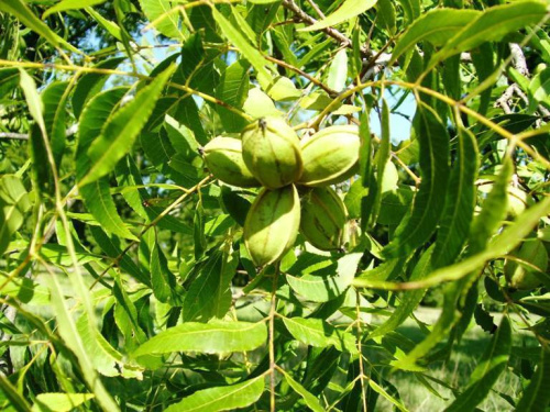 9b79c8e554fbefc32276a0c882ae4d73