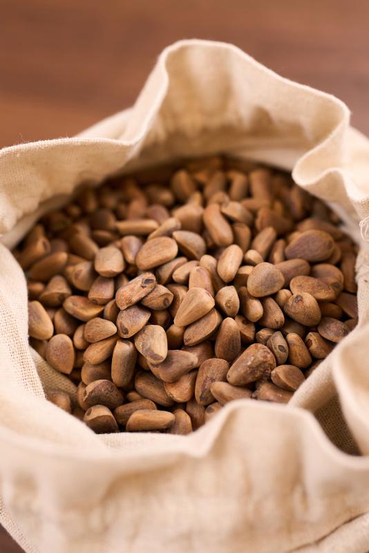 Совместный проект интернет-магазина Жёлуди и Казанского государственного аграрного университета