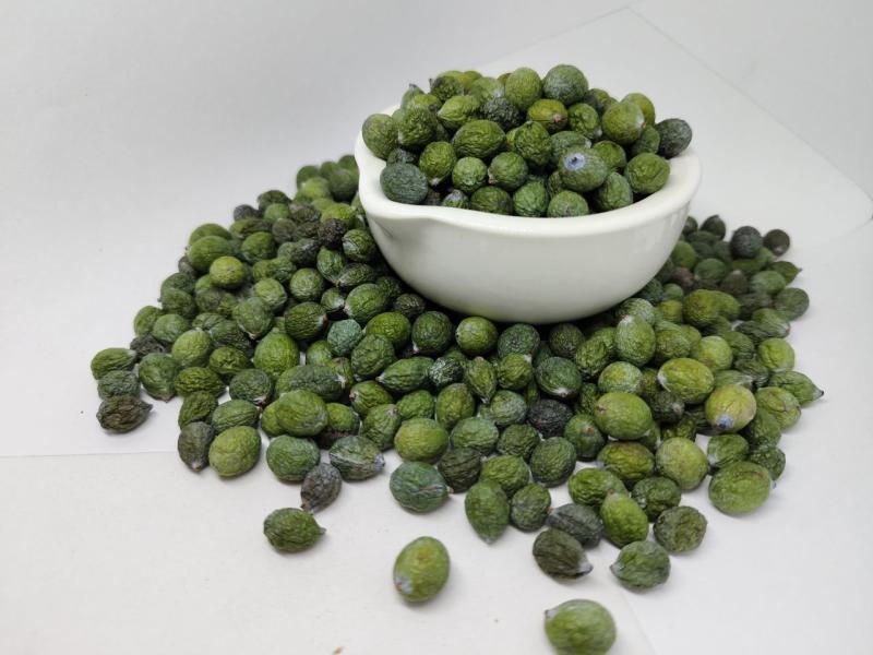 Ногоплодник. Мармеладное дерево с необычной хвоей