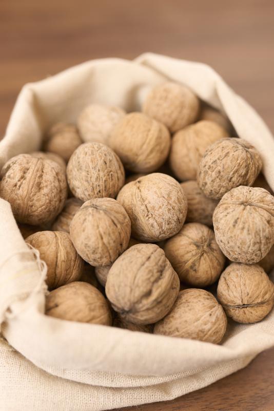 Осень - время сеять орехи