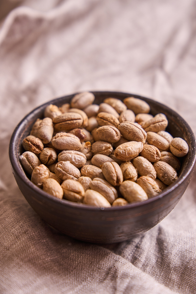 семена финиковой пальмы