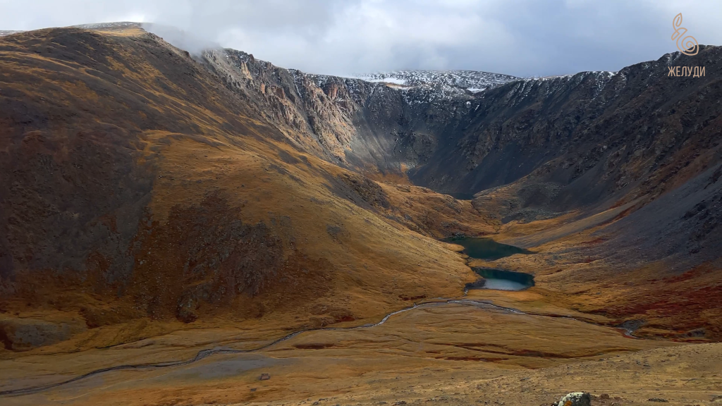 Ботаническое путешествие на Алтай с командой Жёлуди