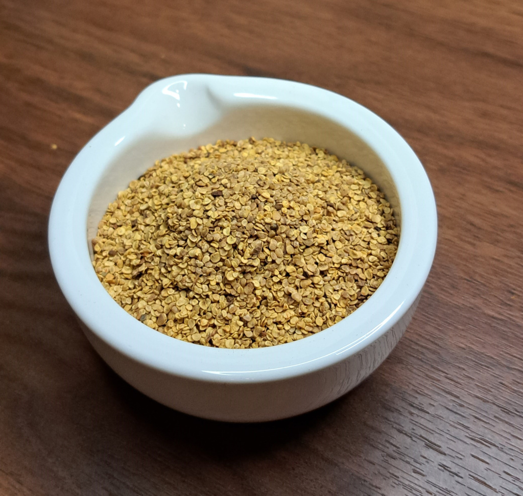 Свежие семена "тибетской ягоды" годжи в магазине Жёлуди