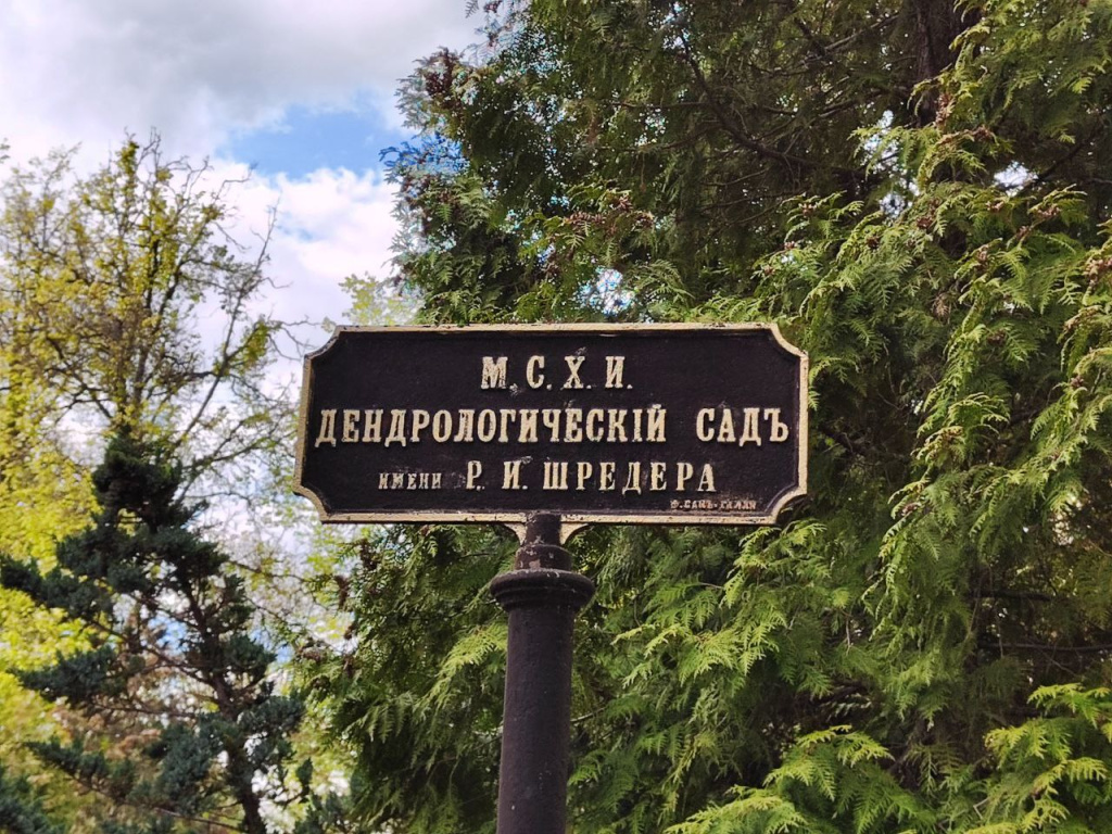 Дендрологический сад имени Р.И.Шредера
