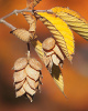 Хмелеграб виргинский, или Хмелеграб американский (лат. Ostrya virginiana), семена