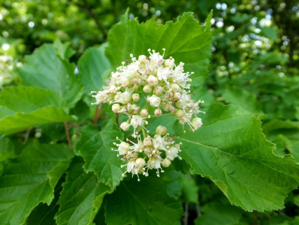 scale_1200 (1)